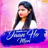 About Jaan Ho Meri Song